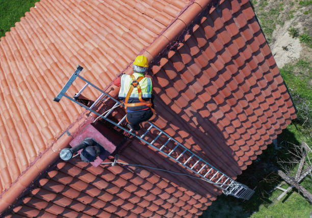 Best Roof Moss and Algae Removal  in Golf Manor, OH